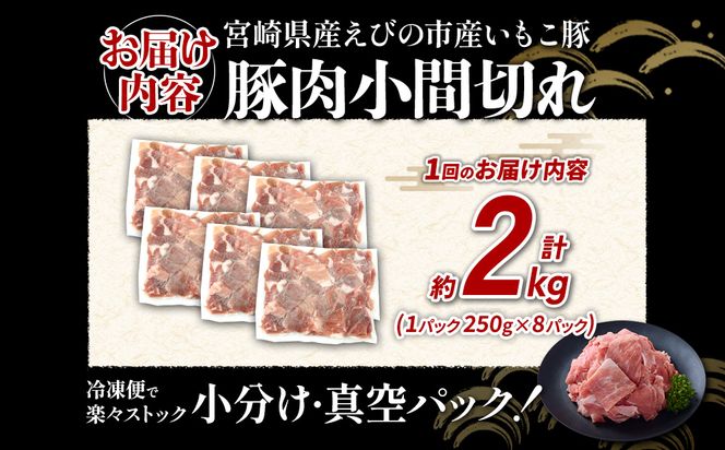 定期便 3回お届け 宮崎県産 いもこ豚 小間切れ 2kg (250g×8パック) 真空パック 小分け 豚肉 えびの市