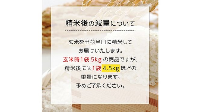 令和6年産【精米日出荷】みずほの村市場牛久店　関さんの「姫ごのみ」 4.5kg 特別栽培農産物 認定米 新米 [AM040us]