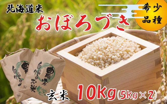 令和7年度産 北海道米 おぼろづき 玄米 10kg (5kg×2) 北海道 新ひだか町