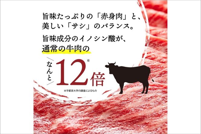 【迎春 12月27日～30日にお届け】京たんくろ和牛のすきやき・しゃぶしゃぶ 　500ｇ(2～3人前)　NH00001S