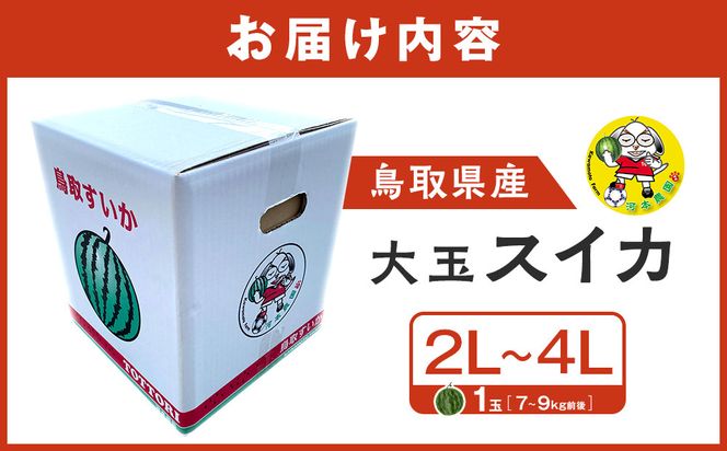1117.鳥取県産 大玉スイカ 1玉 7-9キロ前後2L-4Lサイズ（こちらの返礼品は、大栄西瓜ではありません） 313726_CK003