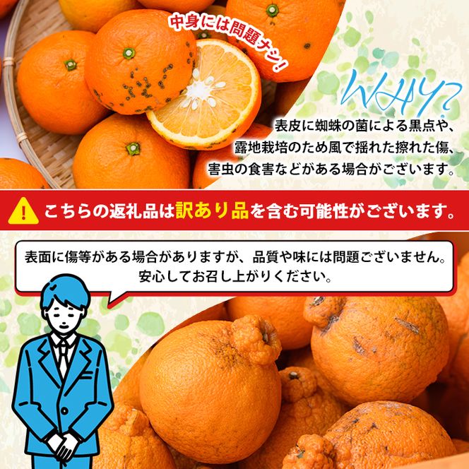 ＜2027年3月発送分！＞旬の柑橘詰合せセット (約10kg) 国産 鹿児島県 阿久根市 果実 果物 フルーツ 柑橘 みかん ミカン 旬 詰め合わせ セット【桐野柑橘株式会社】akn070-16-m03