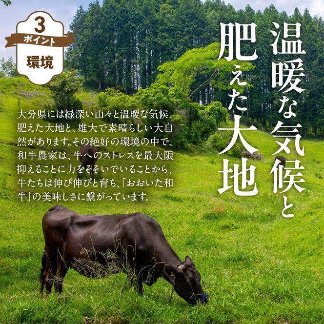 【黒毛和牛】 おおいた和牛 半生 ビーフジャーキー 200g (40g×5P) レア つまみ 酒の肴_2392R-1