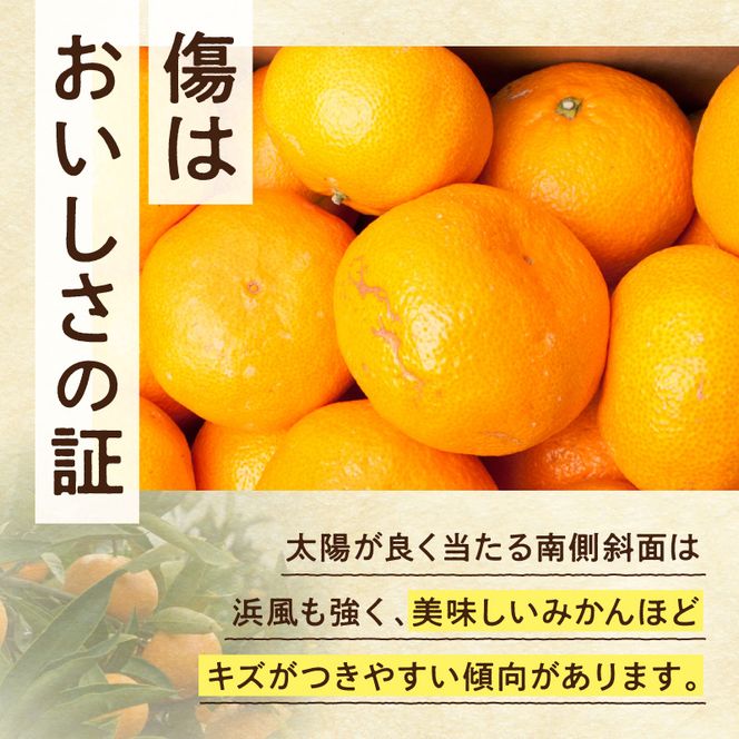 《2026年11月上旬～2027年1月下旬頃順次発送》【2026年先行予約】家庭用 大きな有田みかん約5kg+250g（傷み補償分）【わけあり・訳あり】【光センサー選果】_ZH7117