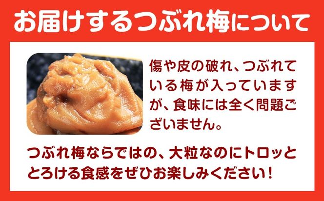 ご家庭用 とろける果肉 紀州南高梅 はちみつ梅 つぶれ梅 大容量 選べる 450g 900g 1.2kg 2kg 有限会社プラム《30日以内に出荷予定(土日祝除く)》和歌山県 日高川町 梅 うめ ウメ 南高梅 梅干し 梅干 つぶれ梅 蜂蜜 送料無料 ランキング お米 のお供---wshg_plm4_30d_26_6000_450g---