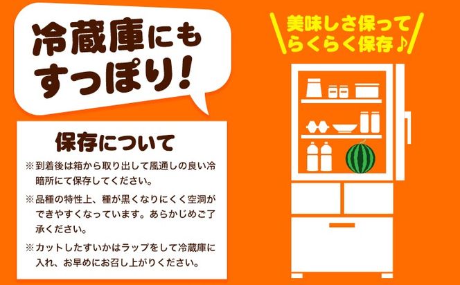 紀州和歌山産 小玉スイカ 「ひとりじめ」 1玉 魚鶴商店《2027年6月上旬-6月下旬頃出荷》 和歌山県 日高川町 スイカ スイーツ フルーツ---wshg_uot234_6j6g_26_10000_1t---