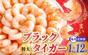 kgp0115 特大ブラックタイガー 定期便 1kg×全12回 むきえび 30-40尾 背ワタなし【毎月配送コース】