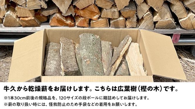 牛久市産 乾燥 薪 樫 ( かし ) 約14kg～16kg 天然木 マキ 乾燥薪 広葉樹 キャンプ アウトドア 焚火 焚き火 薪ストーブ 暖炉 たき火 野外 屋外 バーベキュー薪 ピザ窯の薪 グリル焼 [DP007us]