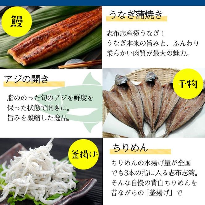 鹿児島県産贅沢三昧セット!鰻蒲焼、アジの干物、釜揚げちりめん、塩辛3種食べ比べ 計6種! b5-181