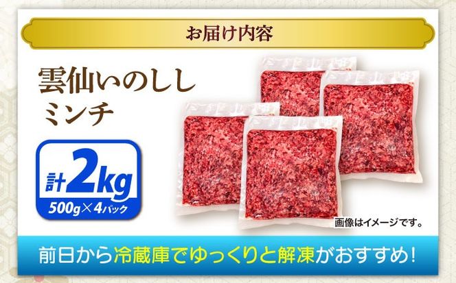 猪肉 ミンチ 2kg 雲仙いのしし / ひき肉 肉 イノシシ ジビエ いのしし ハンバーグ / 南島原市 / もりのめぐみ[SDB013]