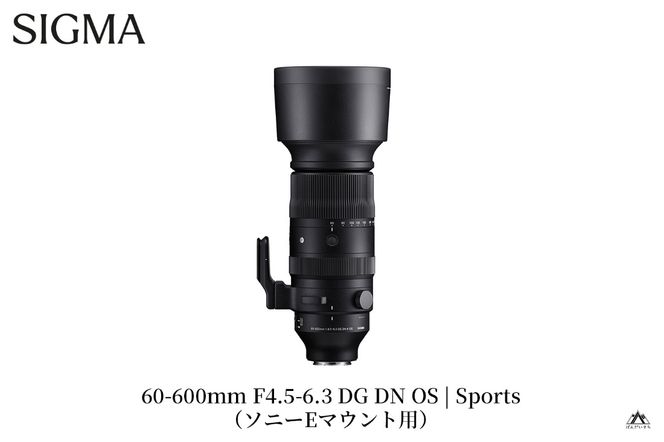 y֒򒬁zSIGMA 60-600mm F4.5-6.3 DG DN OS | Sportsy\j[E}Egz