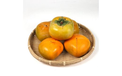 家庭用 訳あり たねなし 柿 5kg 【刀根早生・平核無柿（ひらたねなしかき）】