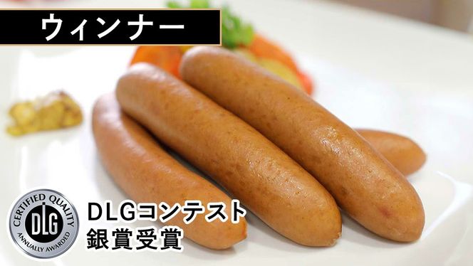 筑波ハム DLGコンテスト受賞商品 詰め合わせ ロースハムスライス ベーコン ウィンナー 合計570g ( 茨城県共通返礼品 ) 詰合せ 詰め合わせ 肉 豚 ウィンナー 熟成 贅沢 [FA006us]