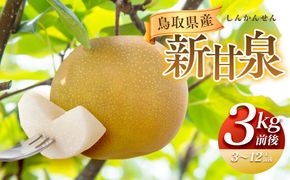 291.【先行予約】新甘泉　3kg前後（3～12玉前後）｜梨 なし 新甘泉 しんかんせん ◇※2026年8月下旬～9月下旬頃に順次発送予定 313726_AN064