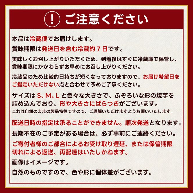 【人気返礼品】鹿島焼芋 純 3kg （1.5kg×2箱）【冷蔵 冷やし 焼き芋 やきいも さつまいも 芋 お菓子 おやつ デザート スイーツ 和菓子 和スイーツ 鹿嶋市 茨城県】（KBK-13-2）