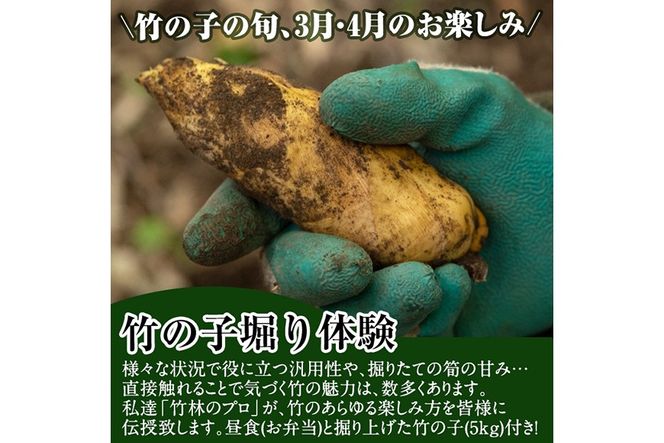 a931 ＜先行予約受付中！2027年3月中旬～4月中旬まで体験分＞竹の子堀り体験(1名様：昼食・タケノコ5kgお持ち帰り付) たけのこ タケノコ 筍 竹の子 体験 【夢竺山株式会社】