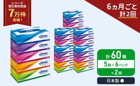 定期便 ティッシュ クリネックス 5箱入 × 6パック 《 6ヶ月ごと計  2回 》 ティッシュ セット