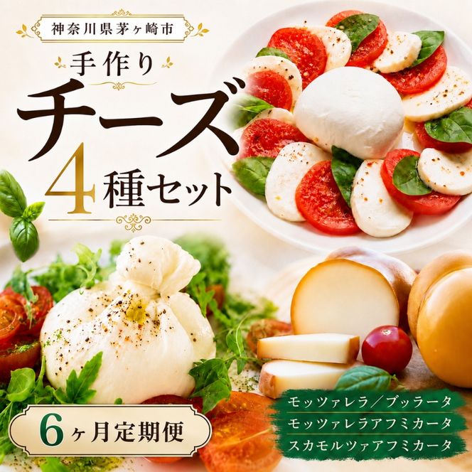 6ヶ月定期便 チーズ 4種 詰め合わせ 各1個 Osteria e Bottega S モッツァレラ ブラッターチーズ スカモルツァアフミカータ 神奈川県 茅ケ崎市 加工食品 乳製品 牛乳 手作業 ミルク 銀賞 幻のチーズ スモーク 塩漬け 美味しい  おつまみ ピザ 