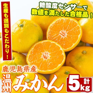 ＜期間・数量限定＞こだわりみかん(5kg)国産 ミカン 柑橘 果物 フルーツ 温州 期間限定【鹿児島いずみ農業協同組合】a-14-48