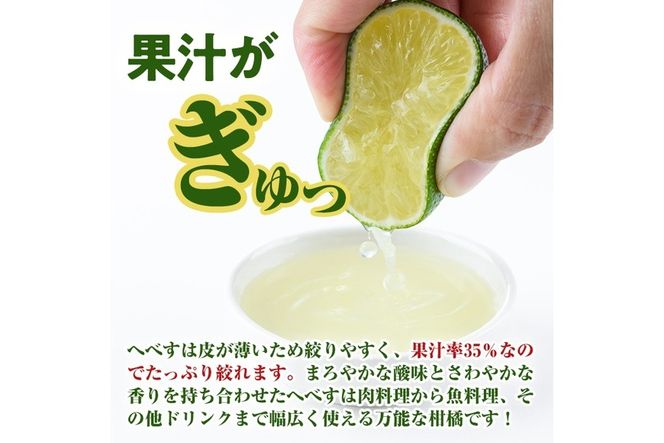 ＜先行予約受付中！2025年7月上旬～8月上旬の間に発送予定・期間限定＞宮崎特産へべす(1～1.3kg)  へべず 柑橘 果汁 贈答用 国産 特産品 宮崎県 門川町 【KT-10】【K.Tfarm】
