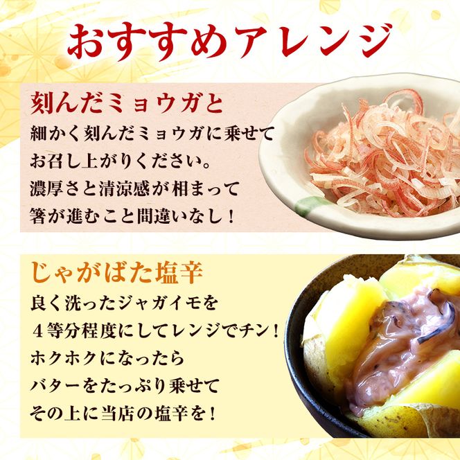 塩辛 エコパック 昭和の塩辛 80g×5袋 セット 珍味 無添加 海産物 海鮮 魚介類 魚介 いか イカ いか塩辛 詰め合わせ ご飯のお供 おつまみ おつまみセット 加工食品 惣菜 冷凍 ※ご入金確認後 3ヶ月以内の発送になります。 青森県鰺ヶ沢町 