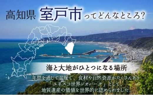 塩結‐三つ彩‐A 小分け 業務用 塩 調味料 塩分 天日塩 国産塩 にがり セット 高知県 室戸市 海洋深層水 天然