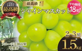 【2025年/令和7年発送分】最高級 シャインマスカット 2～3房 約1.5㎏ 先行予約 山梨県産 産地直送 フルーツ 果物 くだもの ぶどう ブドウ 葡萄 シャイン シャインマスカット 新鮮 人気 おすすめ 国産 贈答 ギフト お取り寄せ 山梨 甲斐市 AN-11