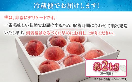 白桃 約2kg（6～8玉）和歌山県産 厳選 化粧箱入り ｜ 白鳳・清水白桃・川中島・もも・はくとう【化粧箱入り】 ※北海道・沖縄・離島への配送不可 ※2026年7月上旬～7月下旬頃に順次発送予定