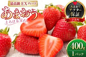 いちご あまおう プレミアムEX 400g 1パック 化粧箱入り 【2027年発送】 [THE FARM_strawberry 福岡県 宇美町 um40azo780014] 苺 イチゴ 甘い あまい フルーツ 果物 果実
