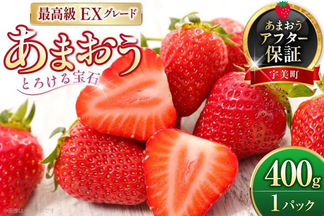 いちご あまおう プレミアムEX 400g 1パック 化粧箱入り 【2027年発送】 [THE FARM_strawberry 福岡県 宇美町 um40azo780014] 苺 イチゴ 甘い あまい フルーツ 果物 果実