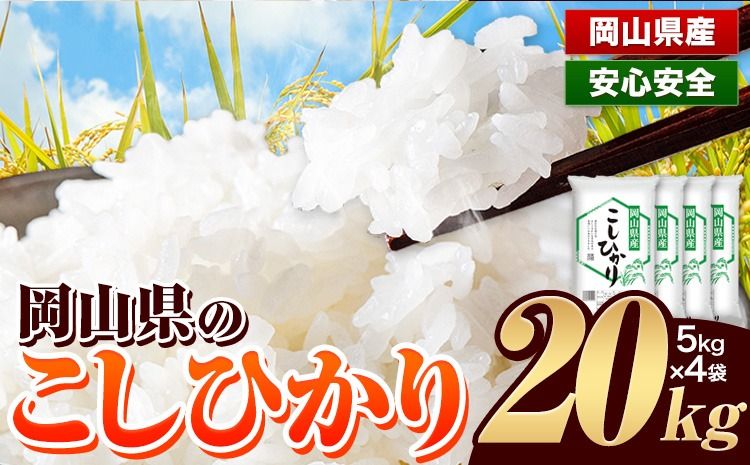 令和6年産 岡山県のこしひかり 10kg 5kg×2袋 岡山県産 白米 精米 矢掛町[30日以内に出荷予定(土日祝除く)] こしひかりコシヒカリ 米 コメ 令和5年産 送料無料---ofn_koshi_30d_24_22500_10---