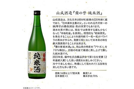 【びんご圏域連携】備後の日本酒 純米酒 飲み比べセット 株式会社斎藤商店《30日以内に出荷予定(土日祝除く)》酒 日本酒 さけ お酒---S-19---