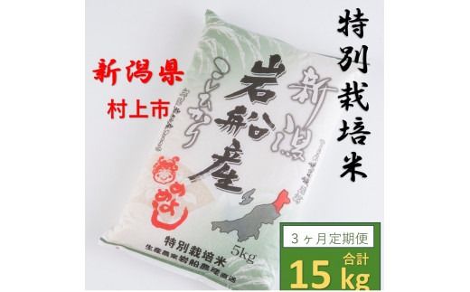 【令和6年産米】【3ヶ月定期便】特別栽培米  岩船米 コシヒカリ 15kg (5㎏×3ヶ月コース）　1013003