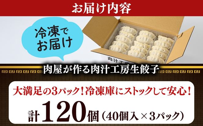 冷凍 生餃子 大人のピリ辛 肉屋の餃子（40個入り） 3パック