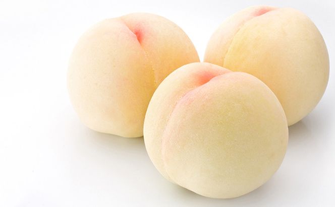 桃 ぶどう 定期便 2026年 先行予約 岡山満喫！ 清水 白桃 約2.0kg 6～8玉 ぶどう 2種 詰合せ 2回に分けてお届け!