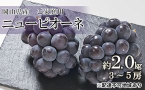 桃 2026年 先行予約 ご家庭用 ニュー ピオーネ 約2.0kg （3～5房） ブドウ 葡萄  岡山県産 国産 フルーツ 果物