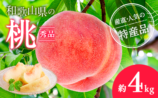 【農園直送】朝採れの和歌山の桃　約4kg・秀品【2026年度発送分】｜ モモ 国産 フルーツ お取り寄せ ギフト