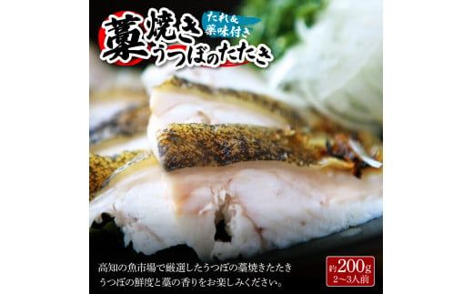 土佐の魚とお酒のおきゃくセット B（ウツボタタキコース）藁焼きウツボタタキ（タレ・薬味付）約200g 2～3人前 わら焼き うつぼ 珍味 純米吟醸生原酒 CEL-24 高知県 土佐市【さかなの森澤マル祐】[BQAM017]
