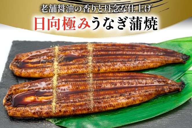 うなぎ 国産 日向極み うなぎ蒲焼 2尾 計300g以上 【たれ・山椒付き】 [日向サンパーク 宮崎県 日向市 452061636] ギフト 小分け 真空パック 鰻 ウナギ うなぎの蒲焼 蒲焼 蒲焼き