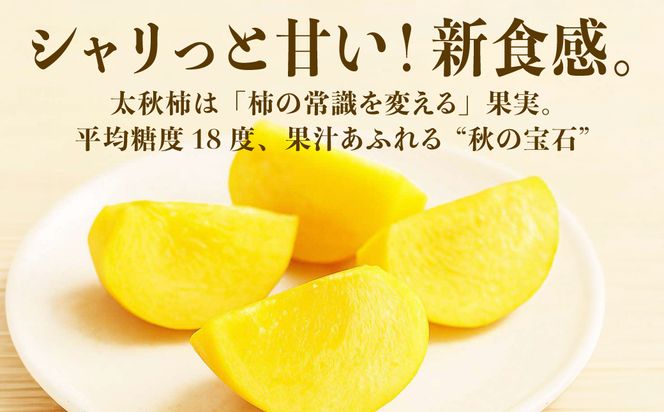 【先行予約】 太秋柿 約2kg（4～8玉） フルーツ くだもの 果物 柿 かき カキ おやつ デザート 秋の味覚 秋 旬 熊本県 八代市 【2026年10月上旬より順次発送】