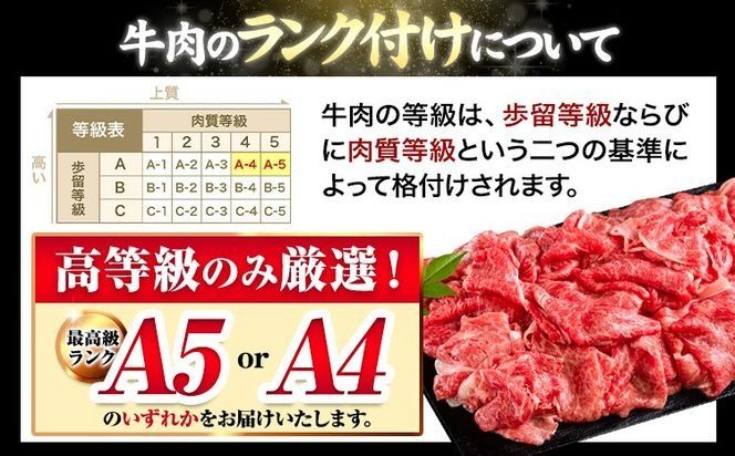 くまもと黒毛和牛 ウデ・モモスライス 選べる 500g 1000g 1500g 2000g 牛肉 冷凍 《30日以内に出荷予定(土日祝除く)》 くまもと黒毛和牛 黒毛和牛 冷凍庫 個別 取分け 小分け 個包装 モモ スライス 肉 お肉 しゃぶしゃぶ肉 すきやき肉 すき焼き---oz_fudmm_30d_r7_11000_500g---