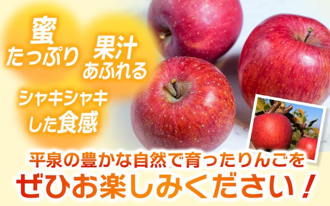 ≪12月末までの受付≫【2024年1月上旬より順次発送】大文字りんご園 サンふじ 小玉サイズ 約10kg (36～40玉) / 樹上完熟 りんご リンゴ 林檎 果物 くだもの フルーツ 甘い 旬 産地直送 予約 先行予約【dma513-sf-10】