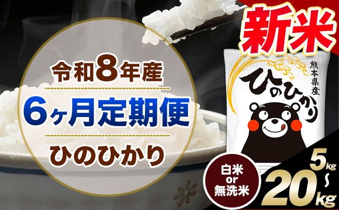 【6ヶ月定期便】令和8年産 新米 選べる 精米方法 白米 無洗米  ひのひかり 5kg 10kg  20kg《12月から出荷開始》｜人気米 熊本県産米 お米 生活応援米---hn8tei_48000_5kg_dec6_mna_h---