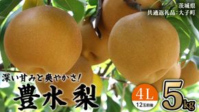 茨城県産 梨 豊水 4L 5kg(12玉前後) (茨城県共通返礼品：大子町) 梨 なし ナシ 果物 くだもの 季節 フルーツ デザート 旬果
