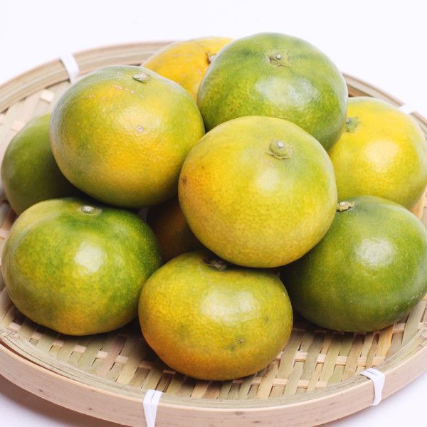 家庭用 極早生有田みかん1kg+250g（傷み補償分）【希少な新品種YN26】【菊みかん入り】◇