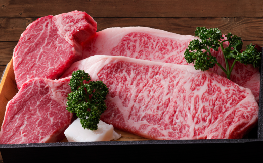 《12/21まで年内発送》【但馬牛 肥育牛 サーロインステーキ150g×2 ヒレステーキ150g×2 合計600g 但馬牛の最高級ステーキセット】冷凍 配送日指定不可 黒毛和牛 ルーツ 香美町 牛肉 ステーキ しゃぶしゃぶ すき焼き 焼肉 ブランド 和牛 ふるさと納税 返礼品 おすすめ 但馬 神戸 香美町 村岡 牛将 村岡ファームガーデン 02-10