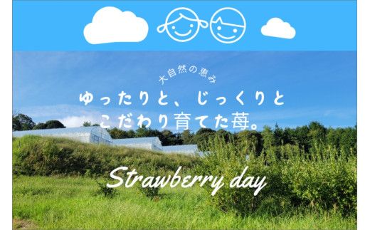 【先行予約】2026年産 京都 蜜いちご（あきひめ）（大サイズ（12粒）×1箱）約600g（2026年1月上旬～発送）　FM00012