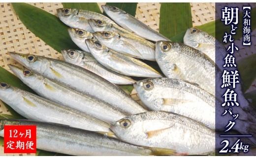 y{茧szy12ցzaC̒ǂNpbN 2.4kg N072-YG0180