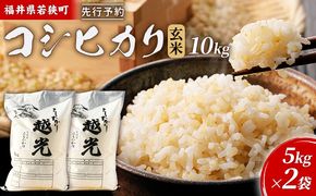 【3月お届け】令和8年産 若狭町コシヒカリ玄米10kg 米 お米 こしひかり 福井県