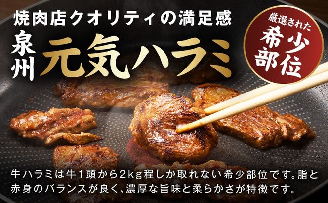 005A811-1 【新登場】トマトガーリック 牛ハラミ 300g【お試し 牛肉 はらみ 小分け 焼肉 お弁当 BBQ 訳あり ワケアリ わけあり サイズ不揃い 規格外 TVで話題】